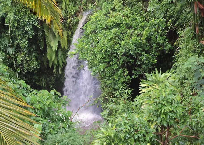 White Lotus Oasis 4* Ubud