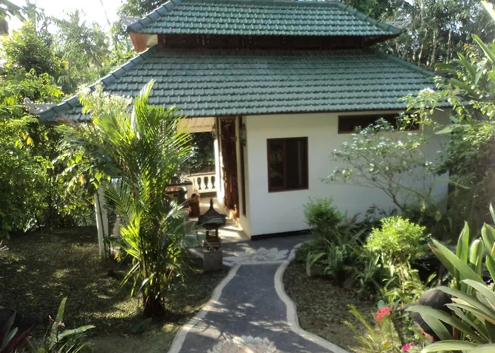 White Lotus Oasis 4*