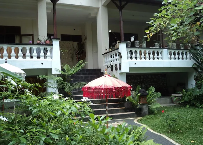 White Lotus Oasis 4*