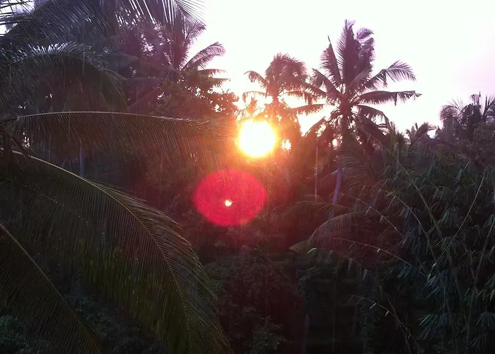 White Lotus Oasis Ubud