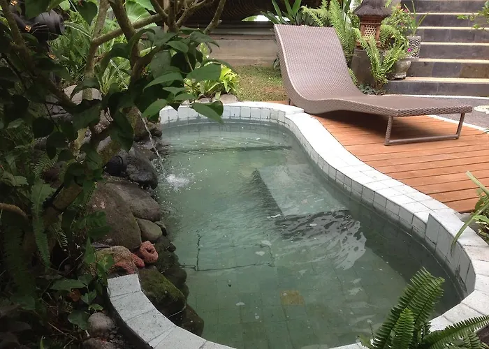Gasthuis White Lotus Oasis 4*