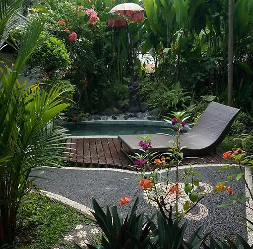 Gasthuis White Lotus Oasis 4*