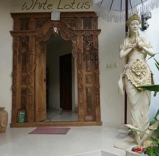 Gasthuis White Lotus Oasis