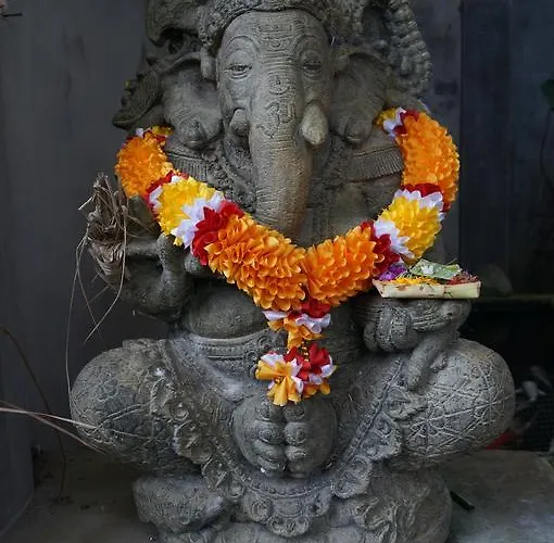 White Lotus Oasis Ubud