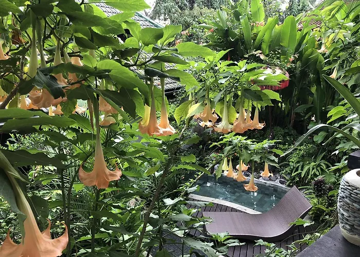 White Lotus Oasis Gasthuis Ubud