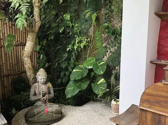 Gasthuis White Lotus Oasis 4*